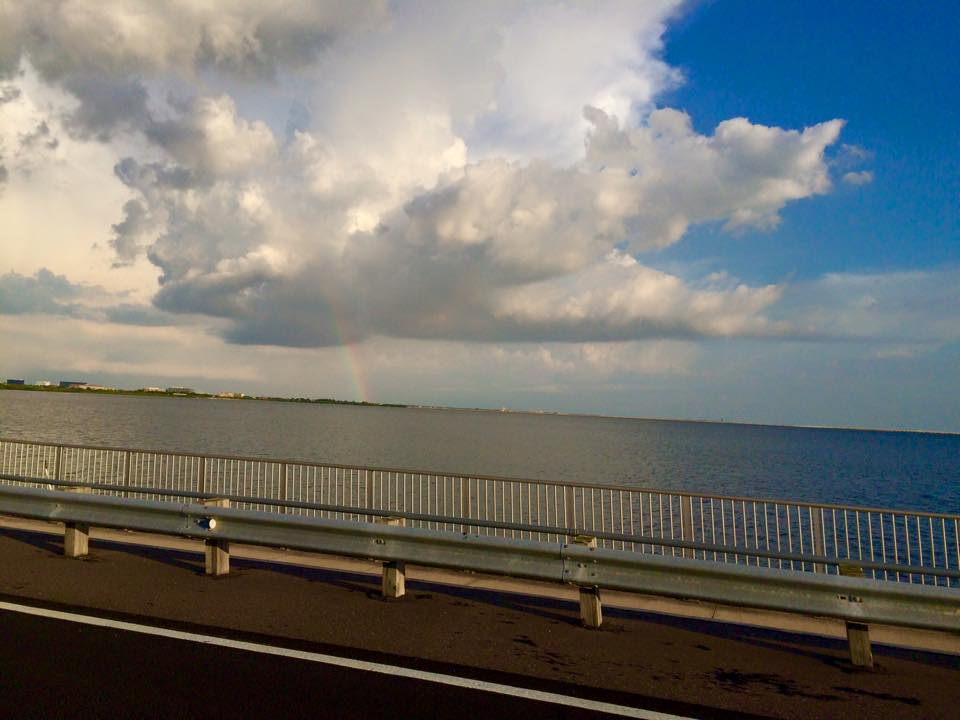 11253685_10155707438290029_4629162233917935587_n